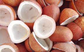 Coconut Copra